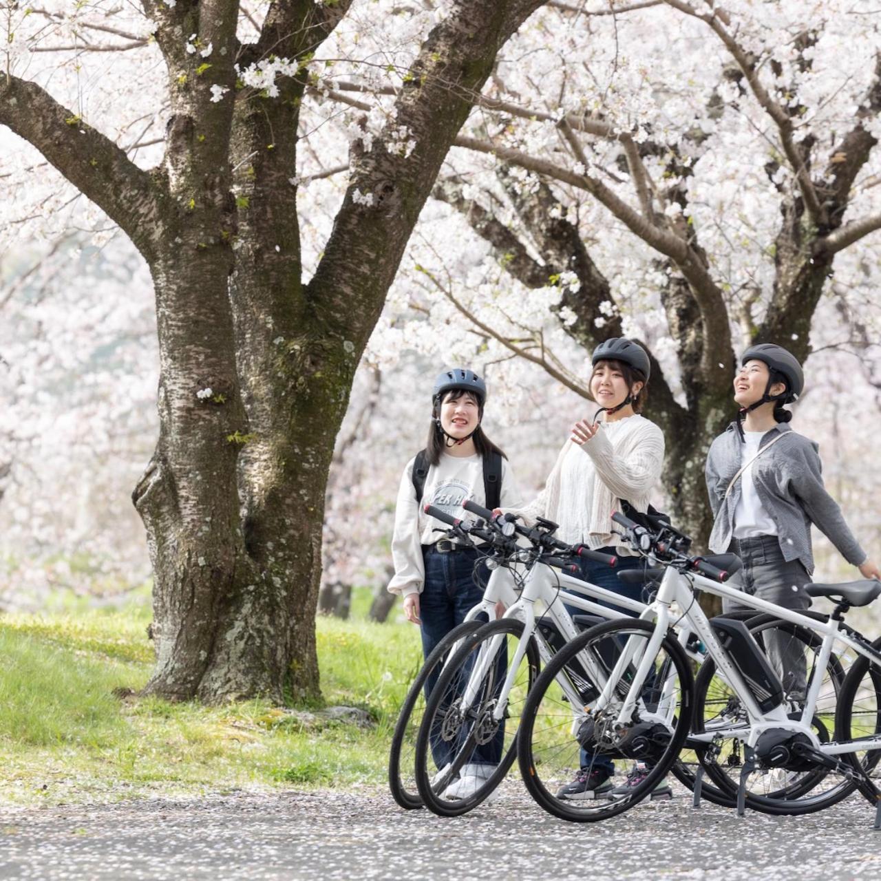 Kona Stay Bicycle Resort Izunokuni المظهر الخارجي الصورة