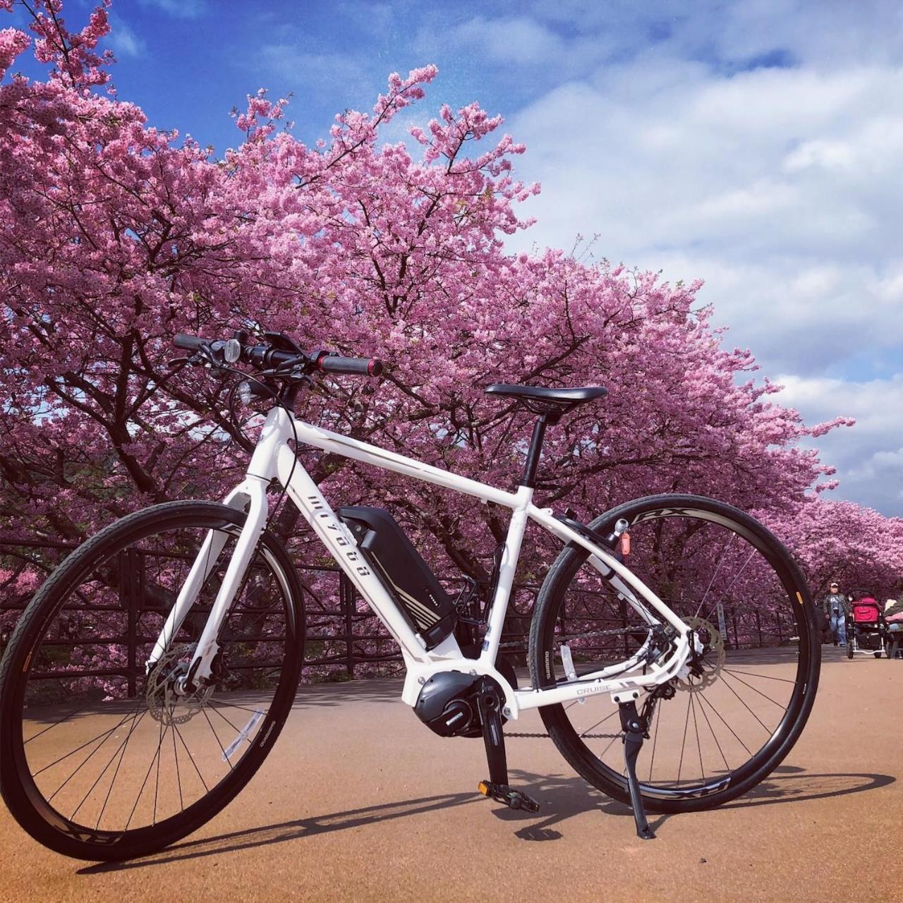 Kona Stay Bicycle Resort Izunokuni المظهر الخارجي الصورة